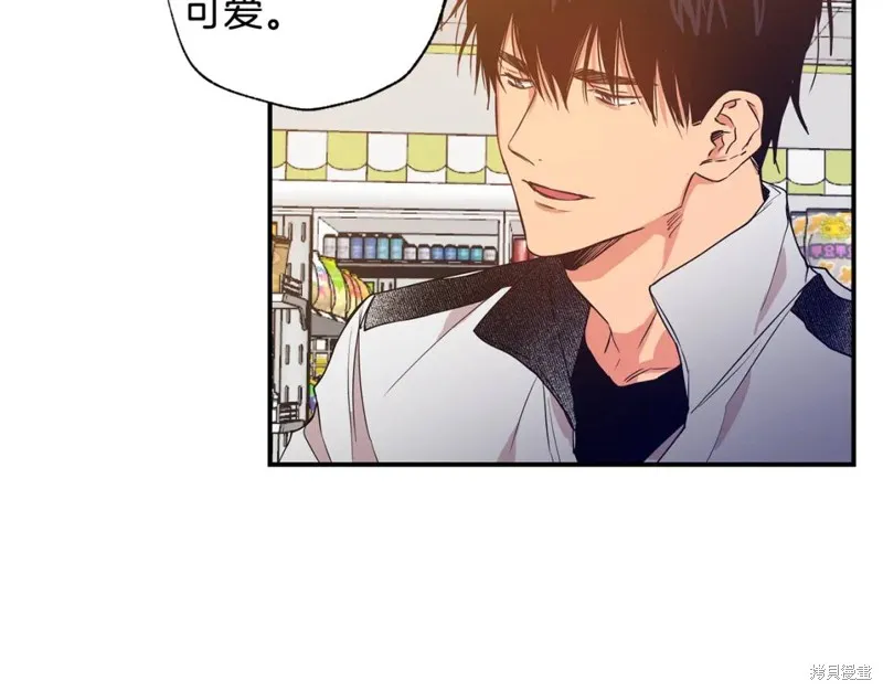 第213页