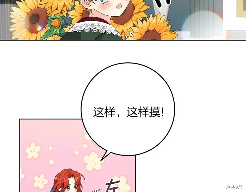 第333页