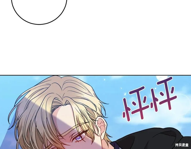 第339页