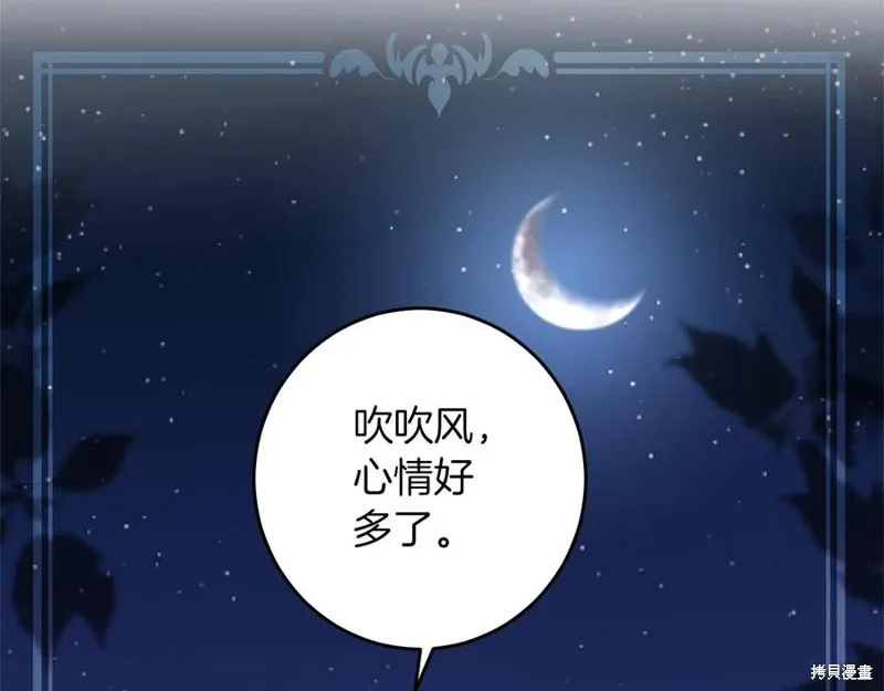 第255页