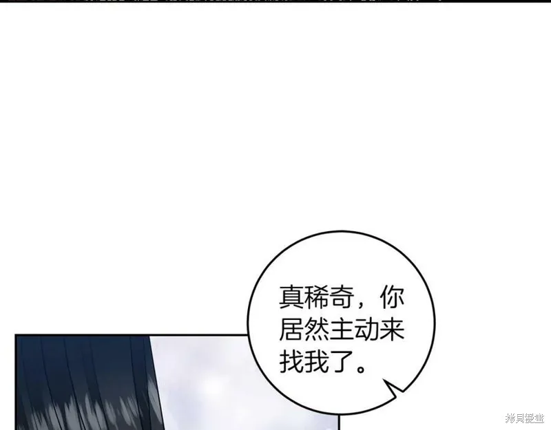 第243页