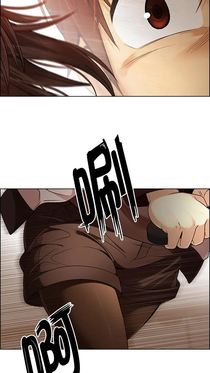 第333页