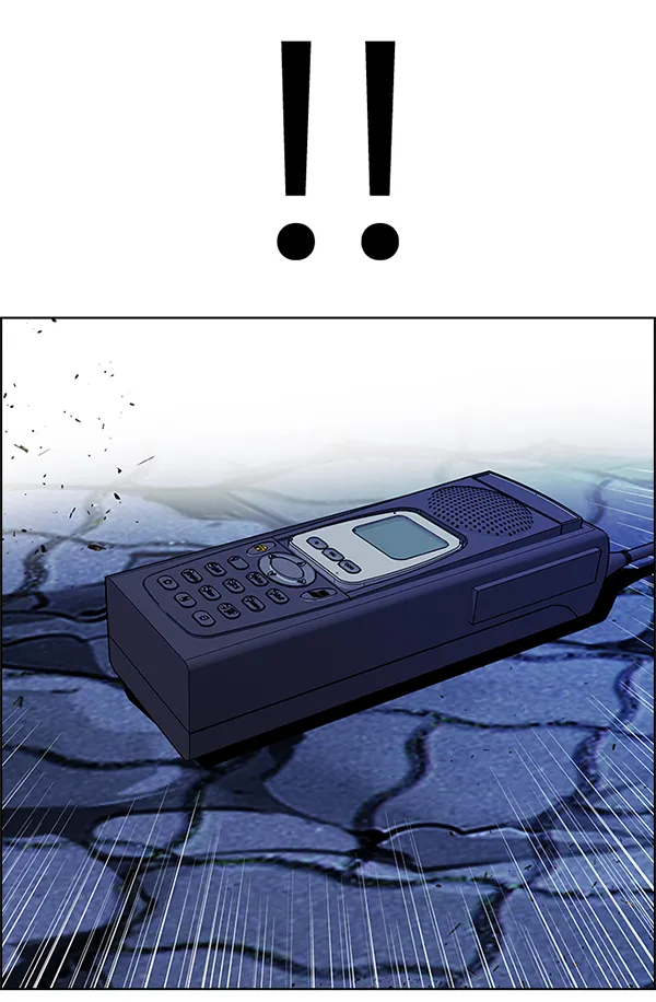 第294页