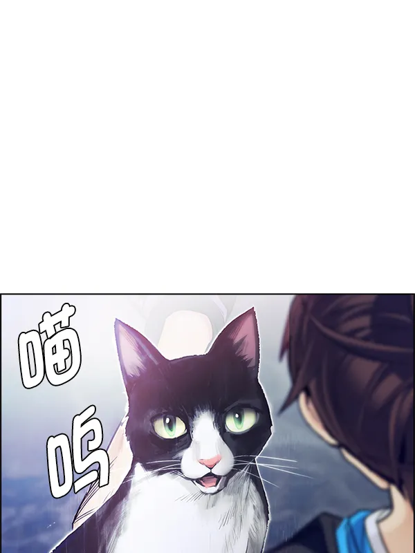 第291页