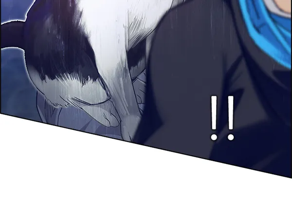 第294页