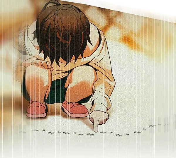 第234页