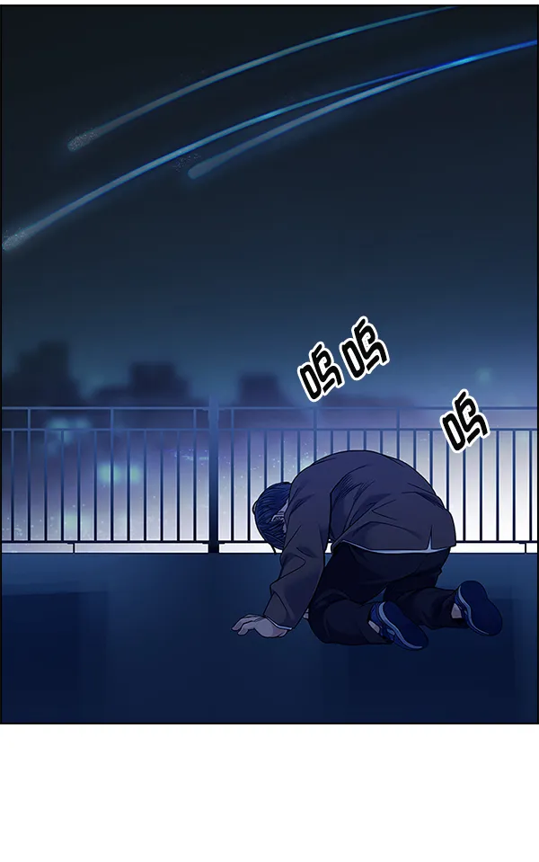 第786页