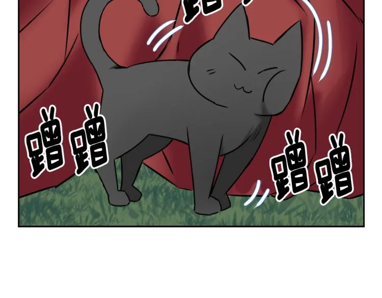 第537页