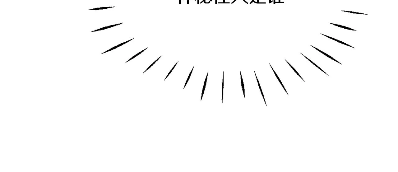 第255页