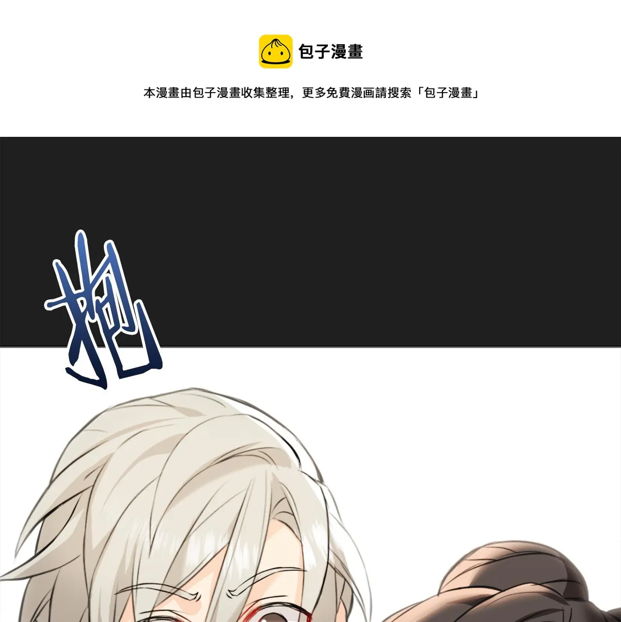 第528页