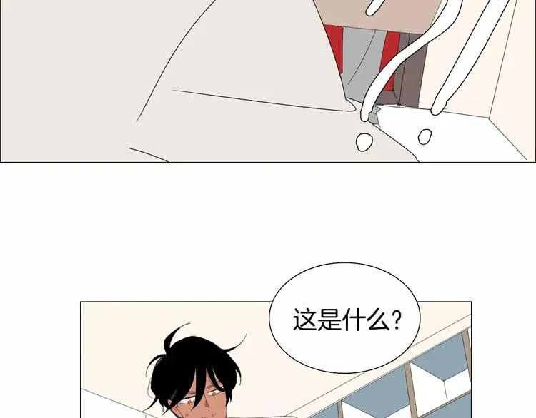 第243页