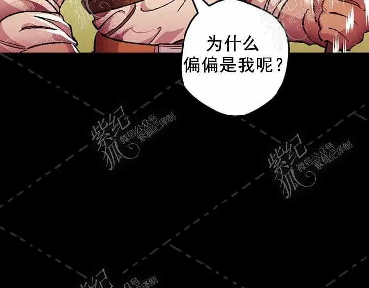 第291页