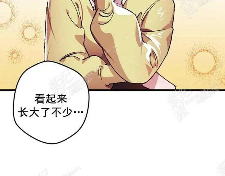第447页
