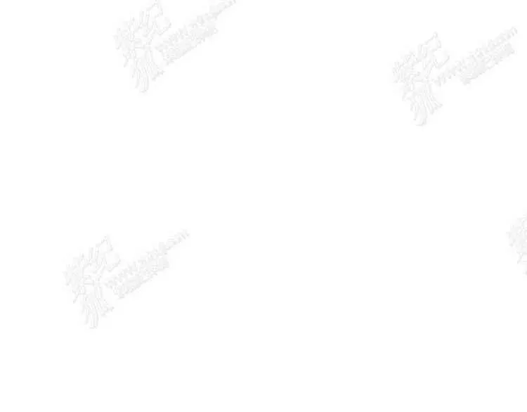 第315页