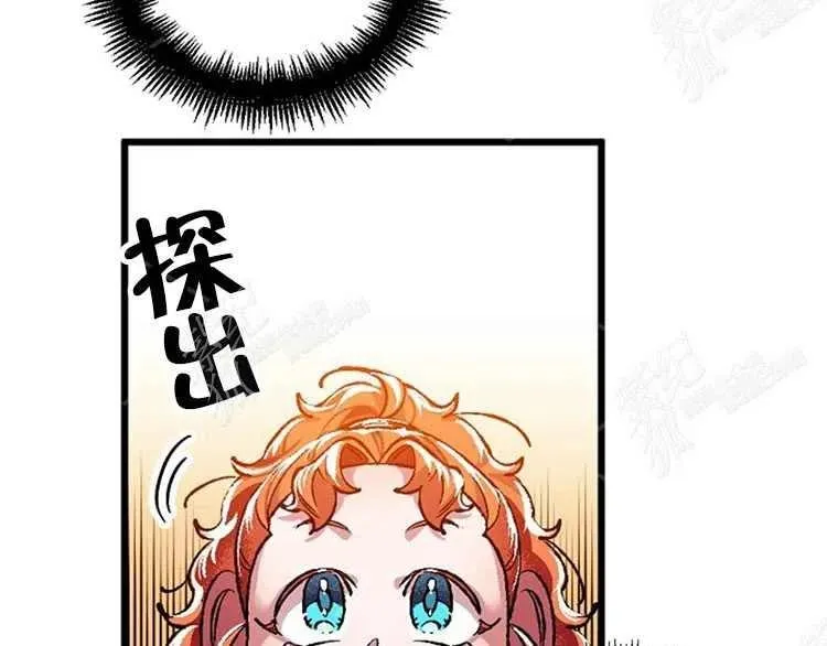 第231页