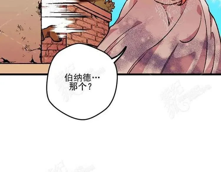 第213页