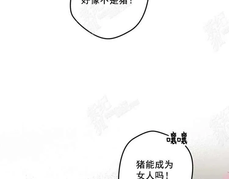 第333页