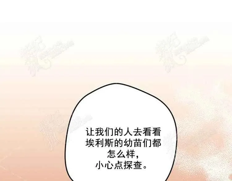 第255页