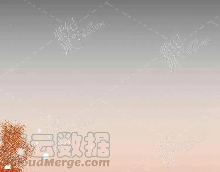 第564页