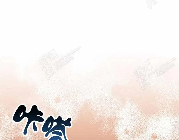 第234页