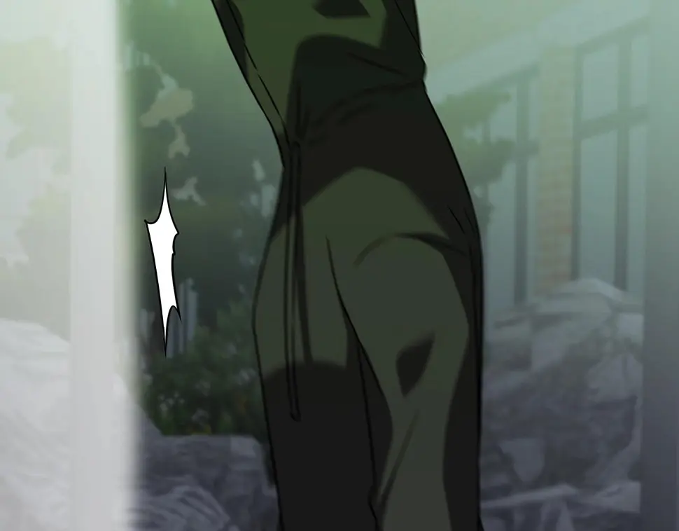第528页