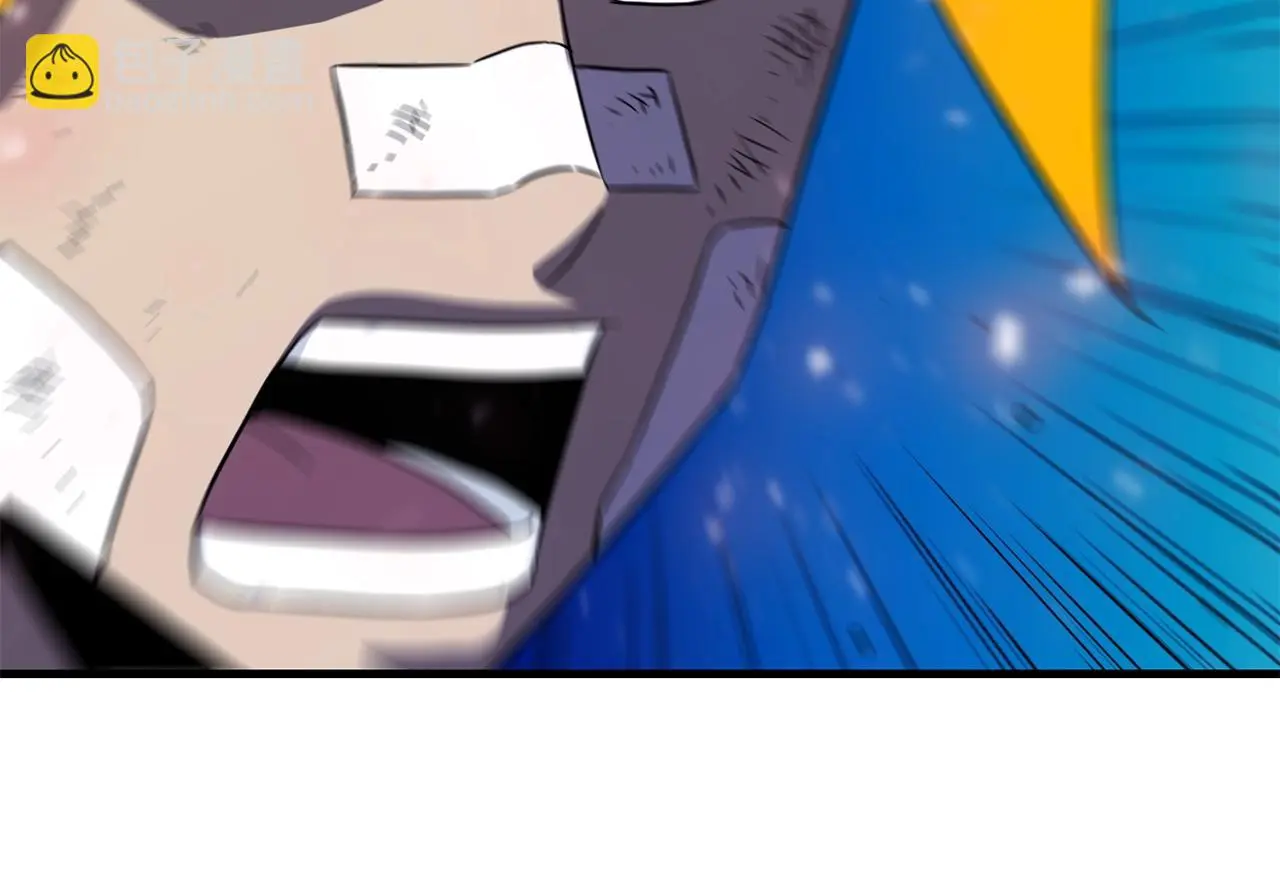 第231页