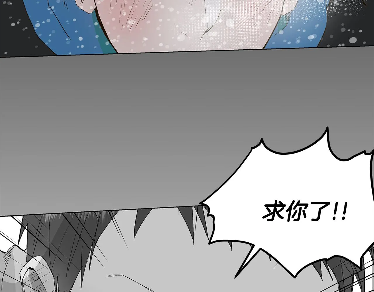 第282页