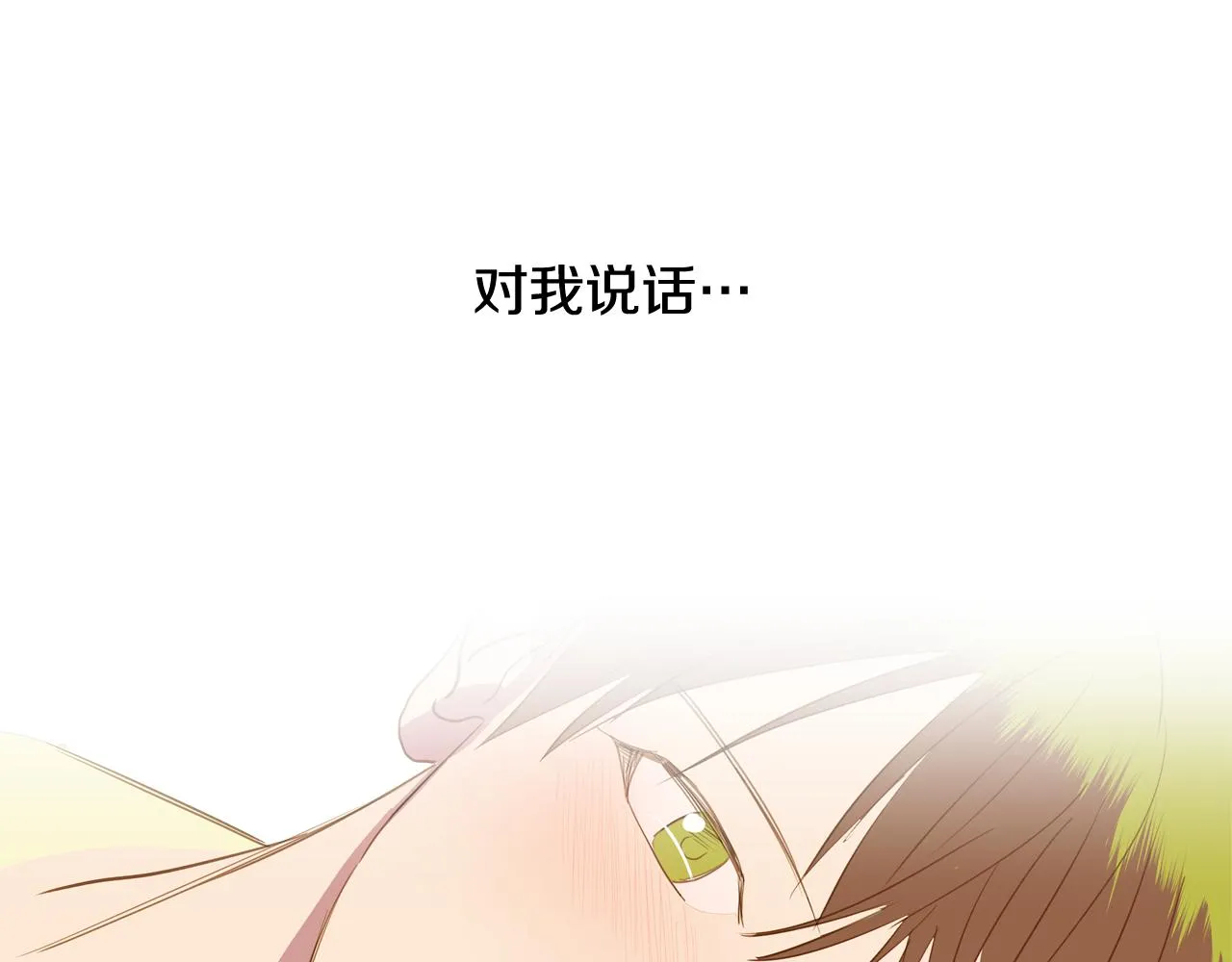 第258页