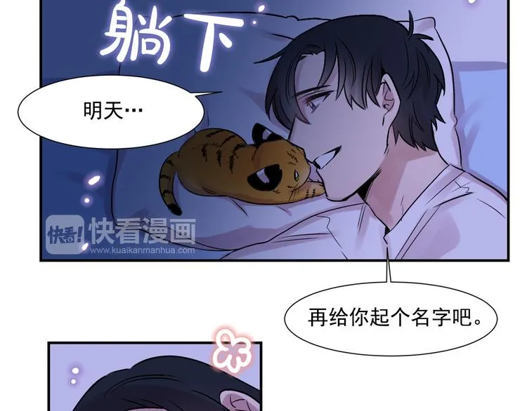 第261页