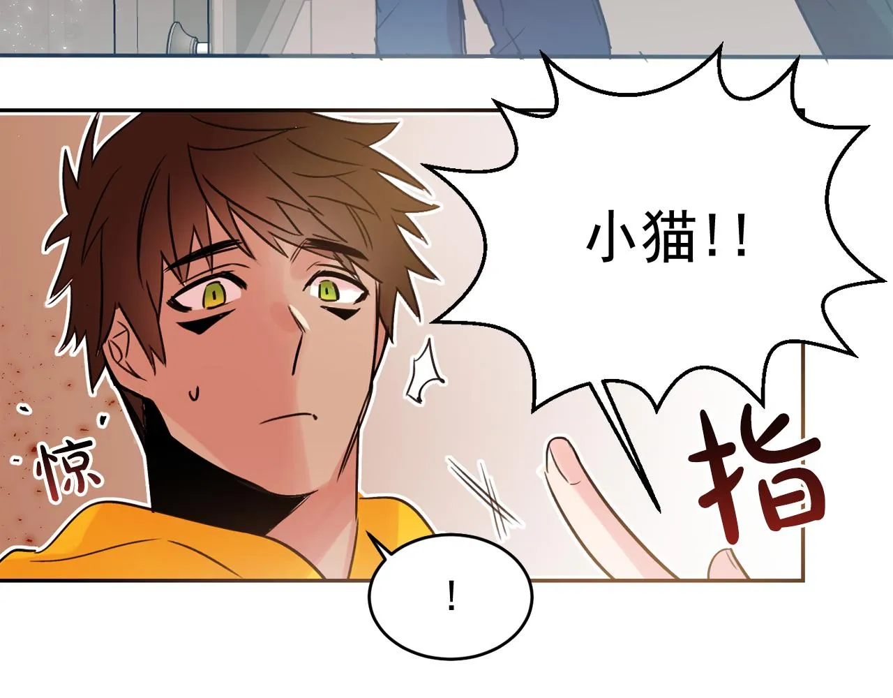第207页