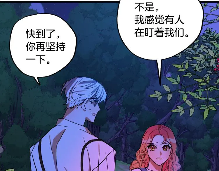 第213页