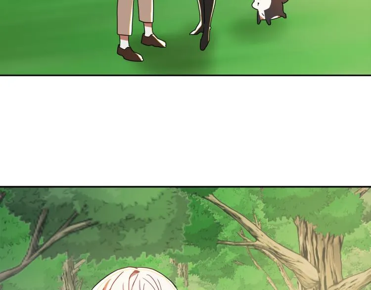 第339页