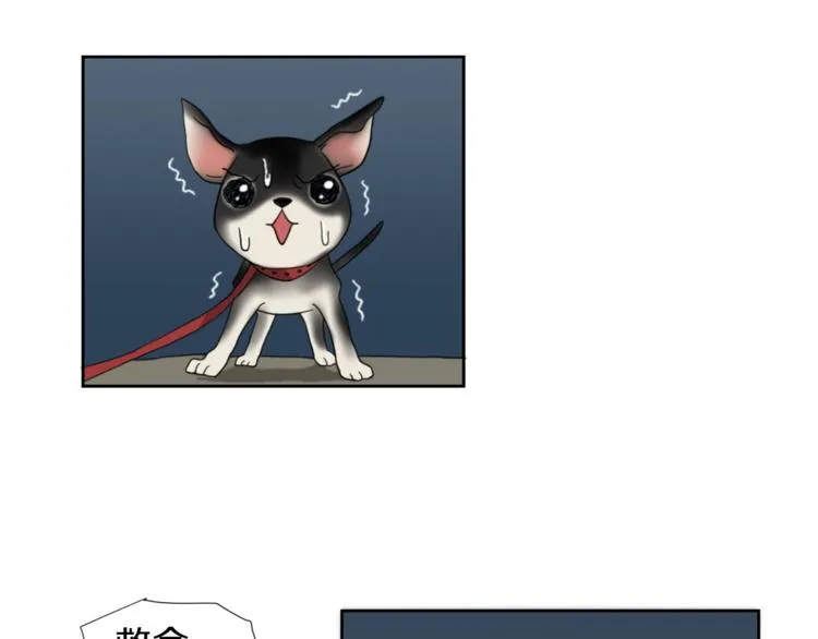 第213页