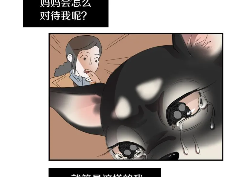 第234页