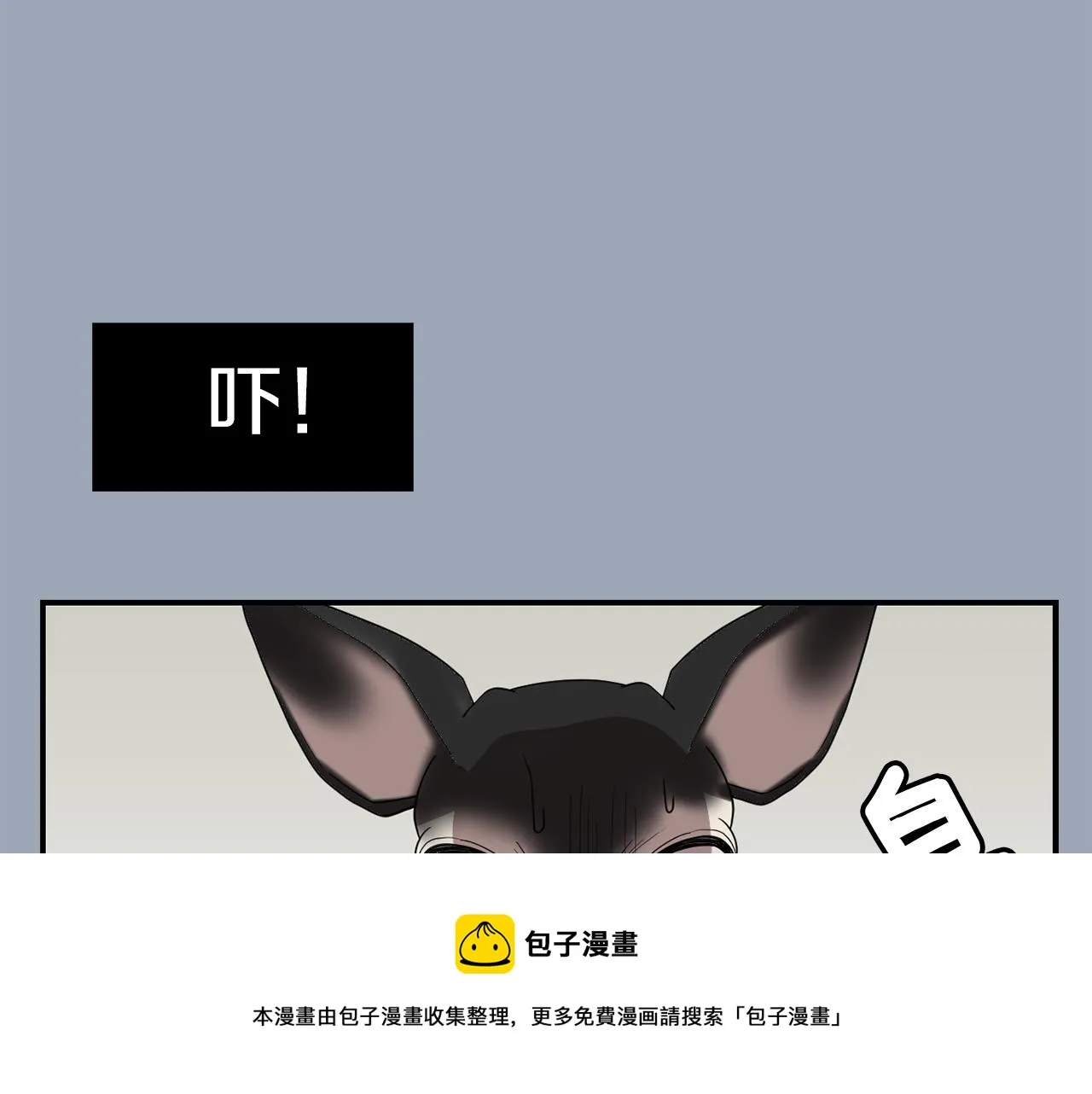 第384页