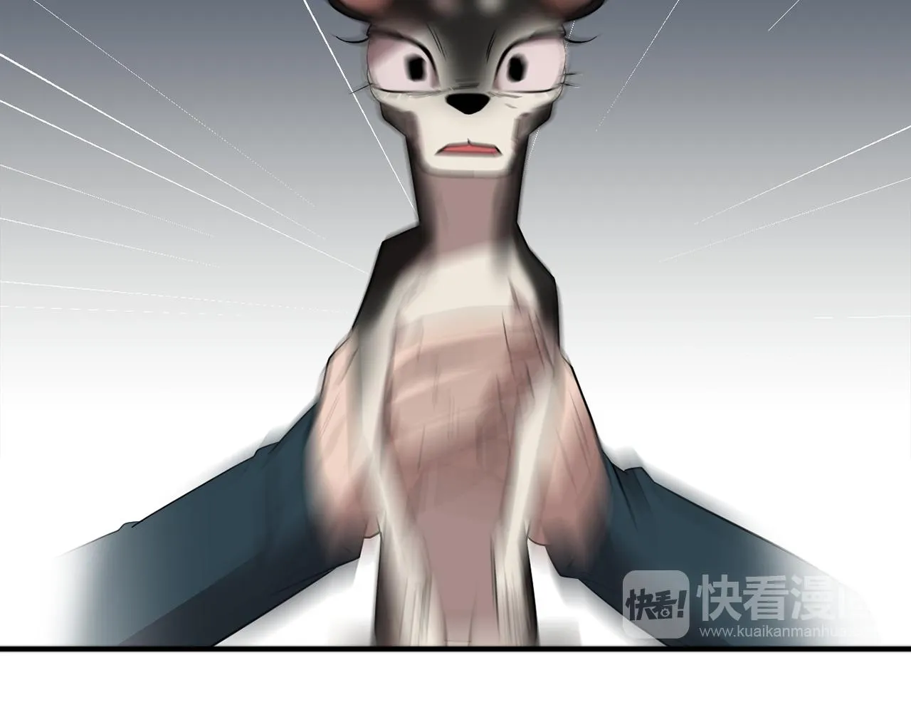 第306页