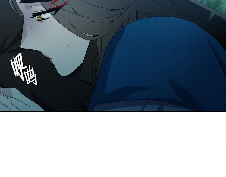 第204页