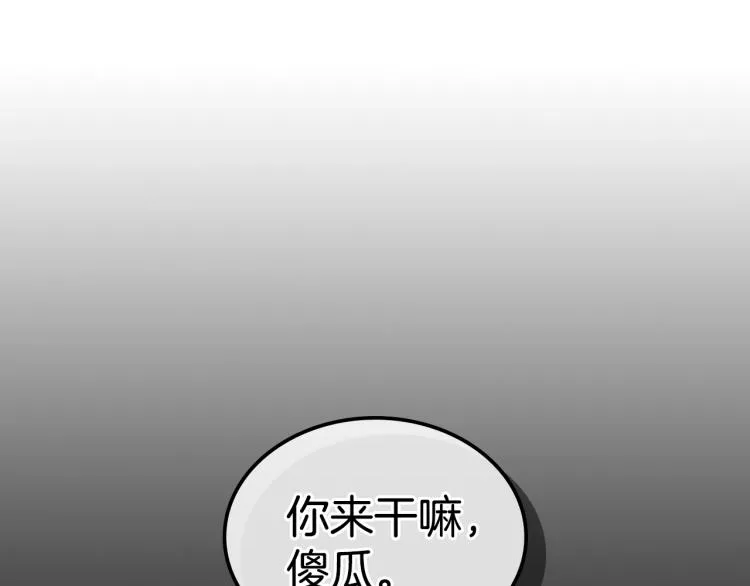 第519页