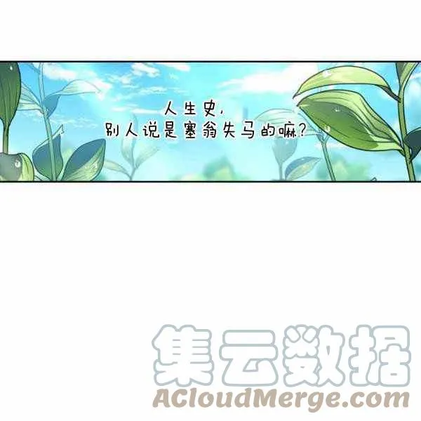 第336页