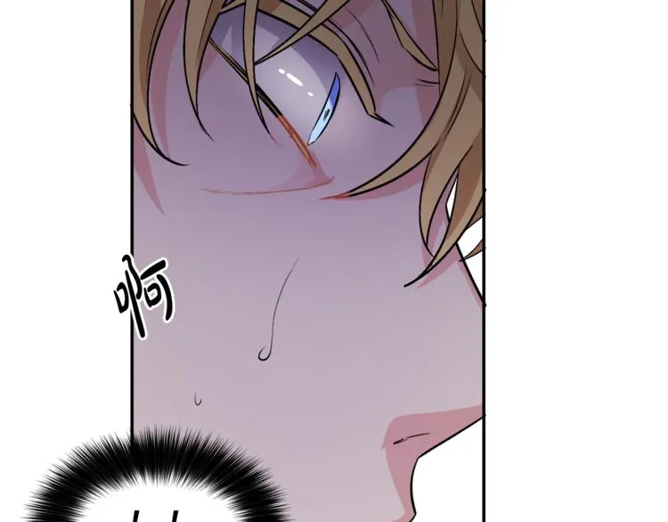 第531页