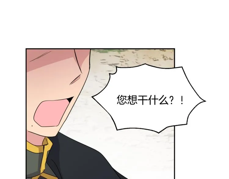 第246页