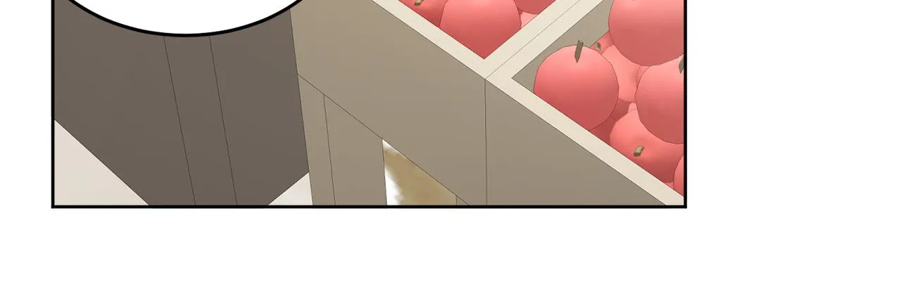 第504页
