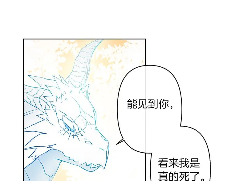 第333页