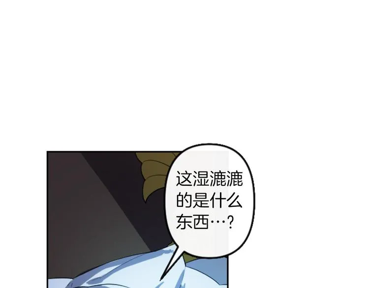第555页