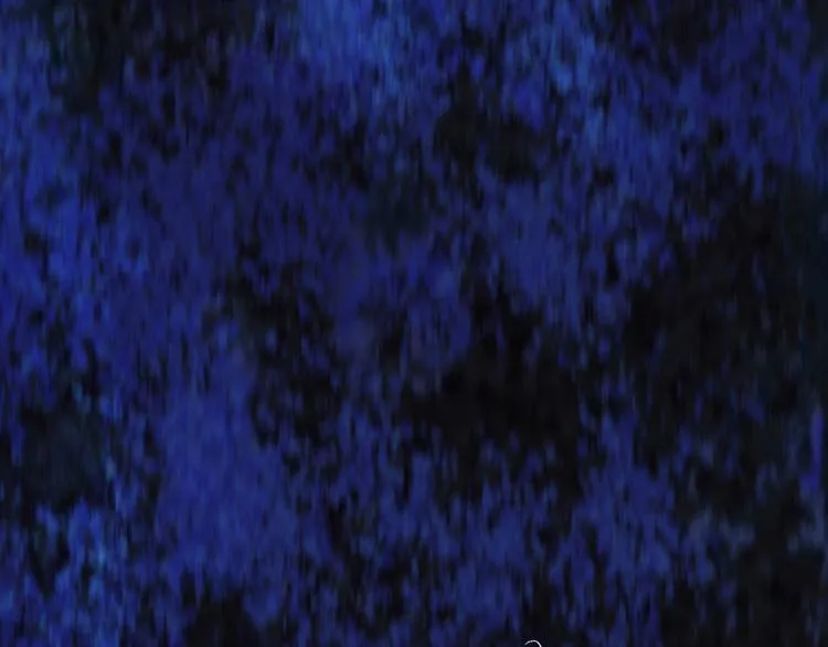 第282页