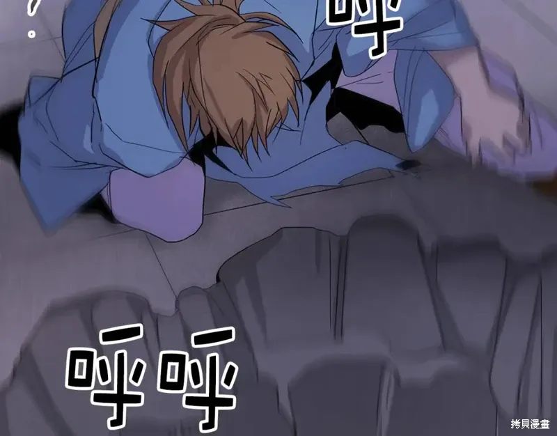 第333页