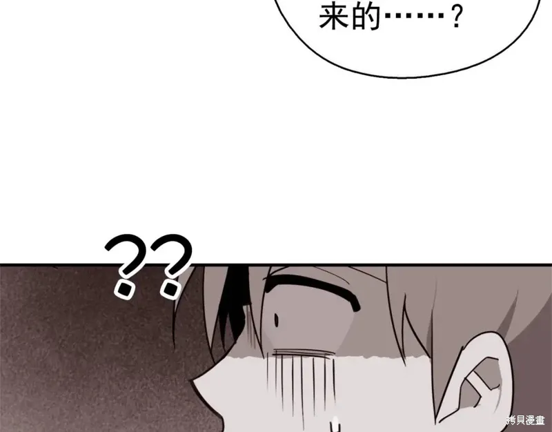 第294页