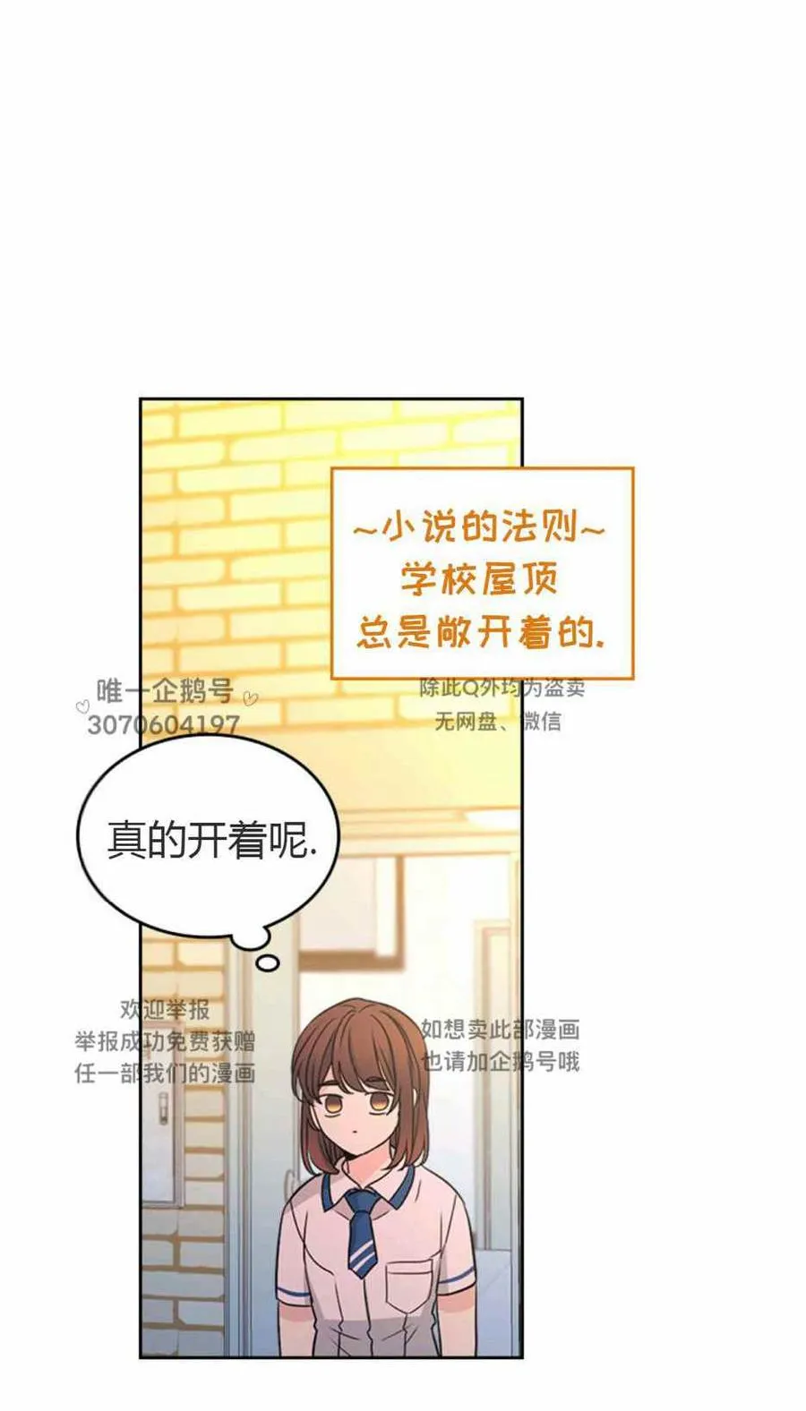第291页