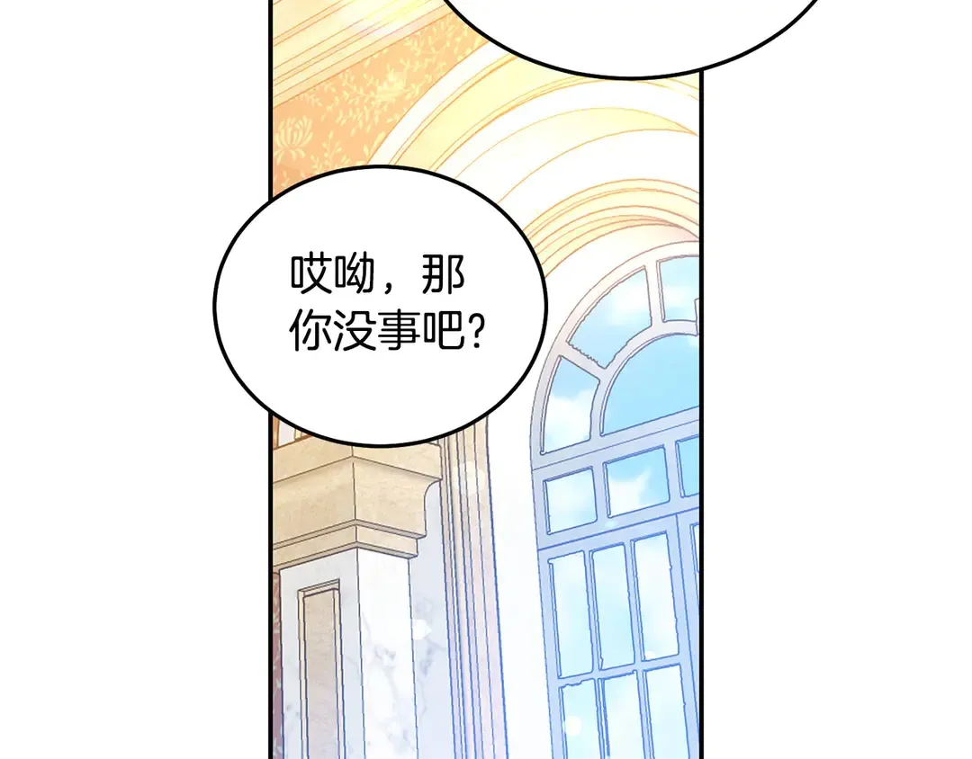 第213页