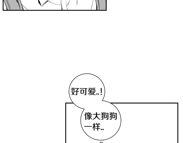 第219页